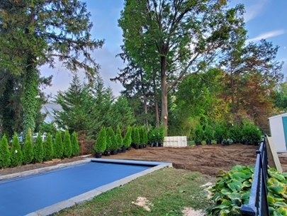 New pool landscaping with privacy plantings and regraded yard